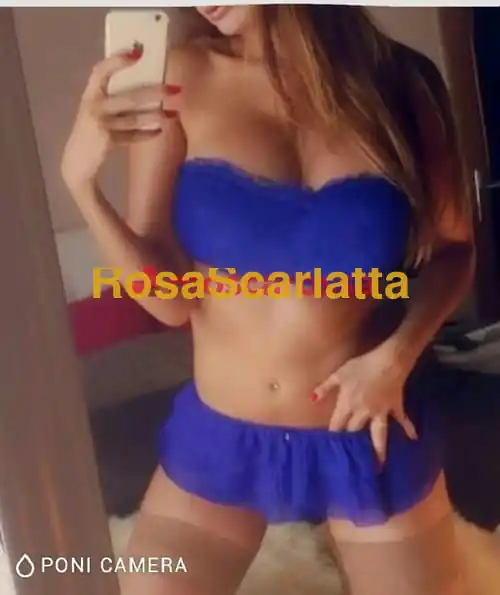 Foto 3 di Nuovissima mike, escort a Magenta