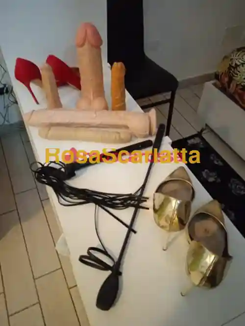 Foto 3 di Udine, trans a Udine