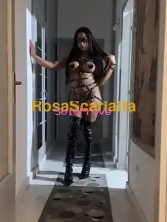 Andressa angelis