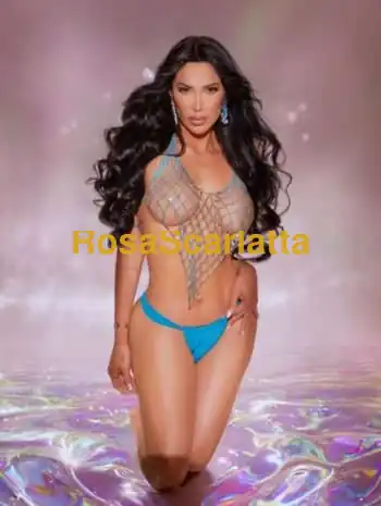 Grazi farias