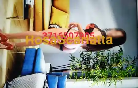 Foto 3 di Amber, escort a Palau