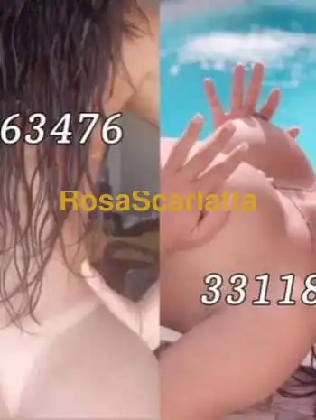 New