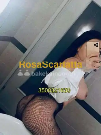 Rosa