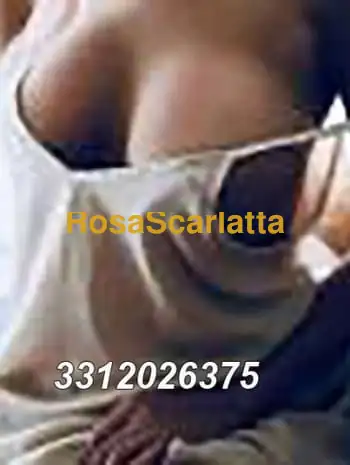 Angelica mistress