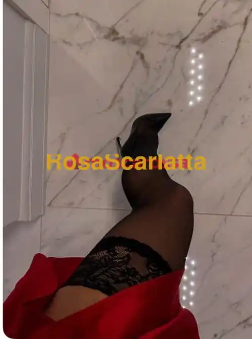 Foto 2 di Fino a sabato, escort a Montebelluna