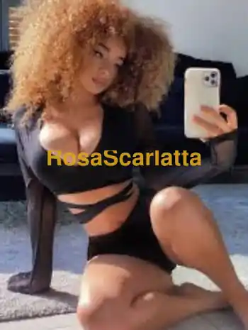 Nicol