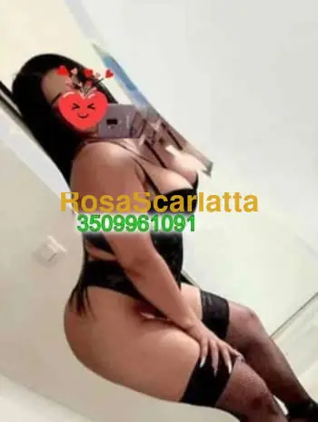 New