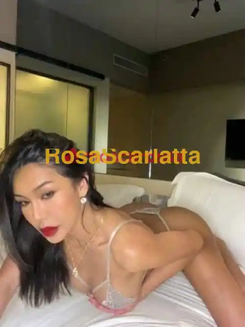 Foto 2 di Meena, trans a Novara