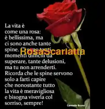 Foto 2 di Alex, gigolò a Portogruaro