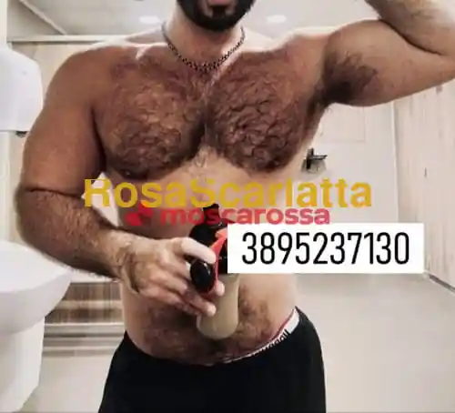 img_2.jpg