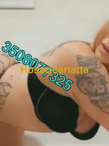 Novita