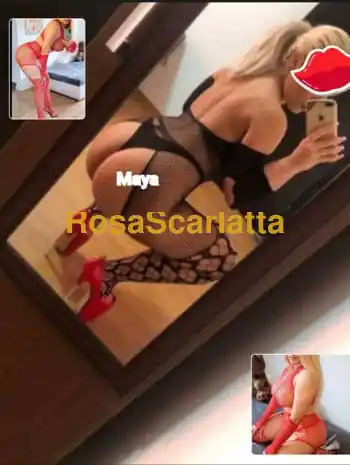 Maya