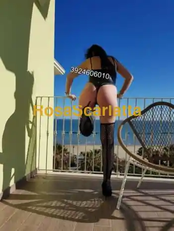 Marta italiana - Novara