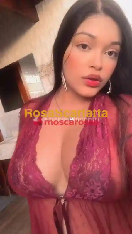 Foto 2 di Ana, escort a Bellaria-Igea Marina