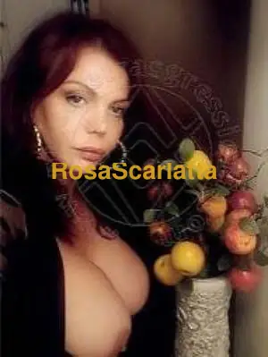 Trans madame massaggi