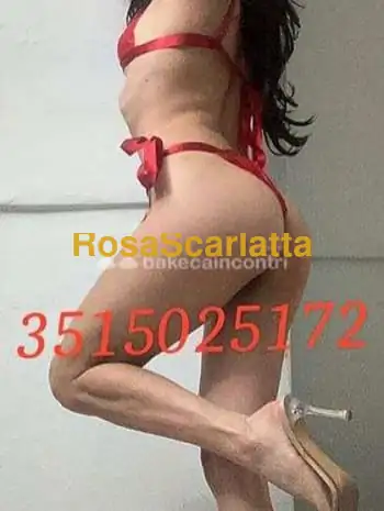 appena arrivata a barletta centro! emily bellissima ragazza brasiliana! simpatica, super sexy e veramente dolcissima!