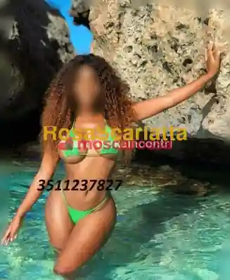 Foto 2 di Pamela, escort a Lucca