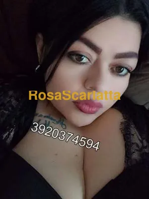 New