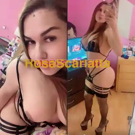 Seconda immagine della gallery